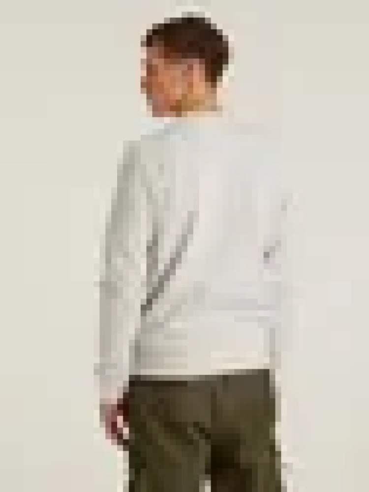 Chasin sweater CYRUS E81 L.GREY