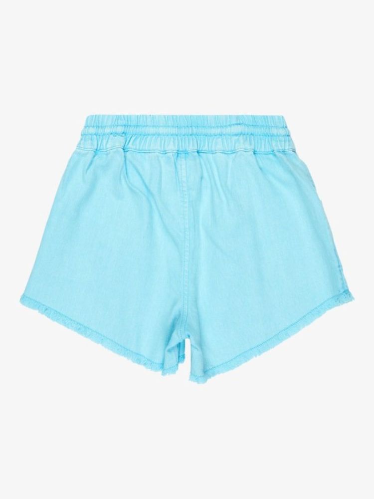 SCENIC ROUTE TWILL SHORT BZG0