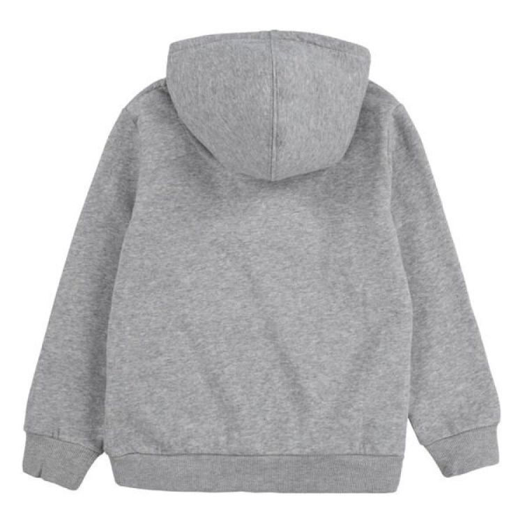 LVB BATWING SCREENPRINT HOODIE GKG