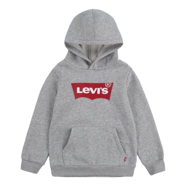 LVB BATWING SCREENPRINT HOODIE GKG