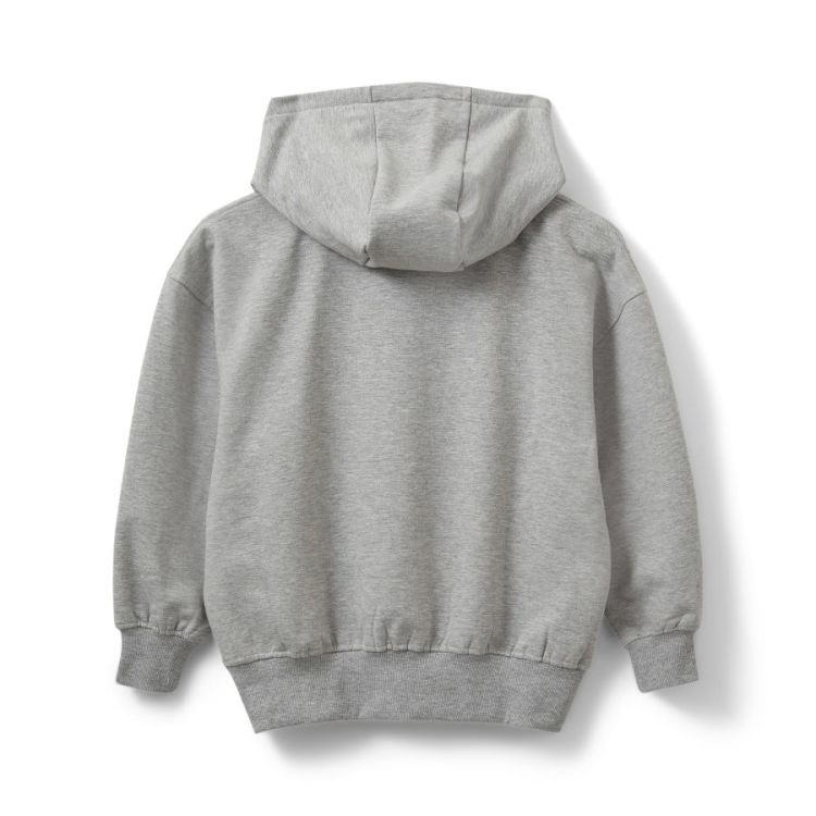 RANYASY HOODIE grey mel 8010