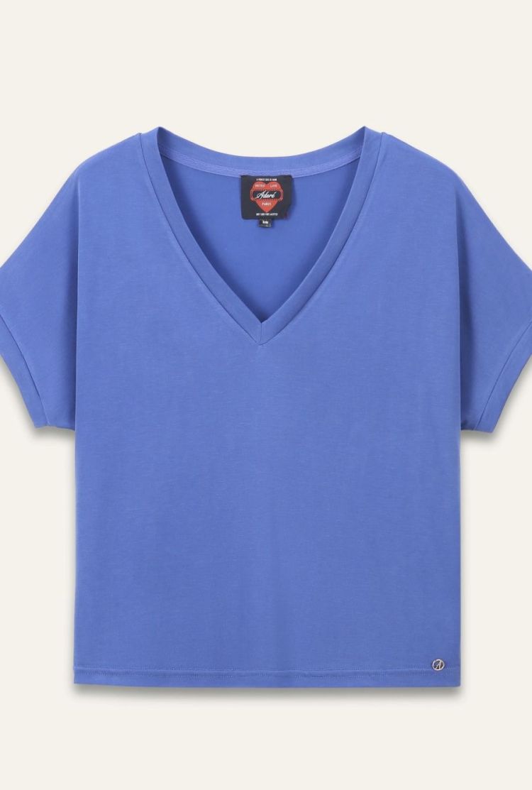  BLEU ROI